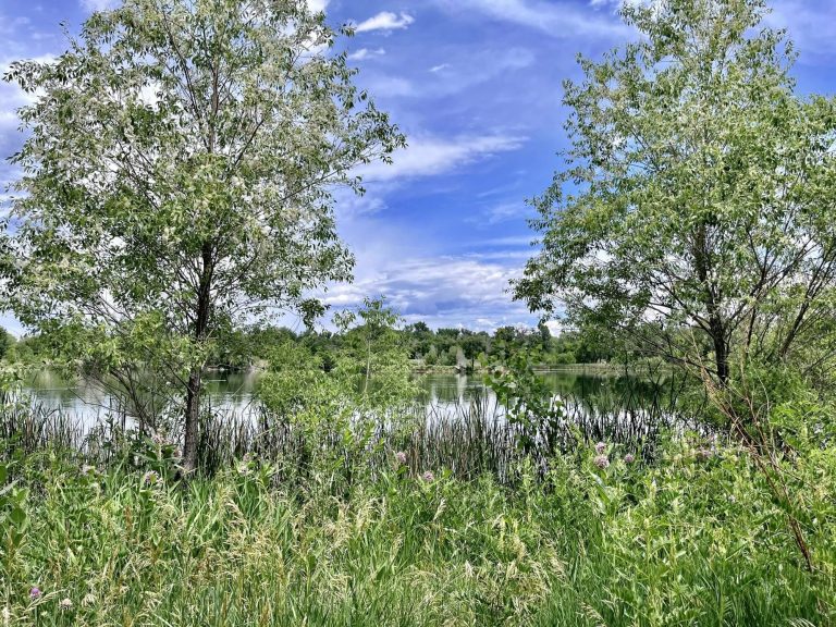 Jayhawker Ponds