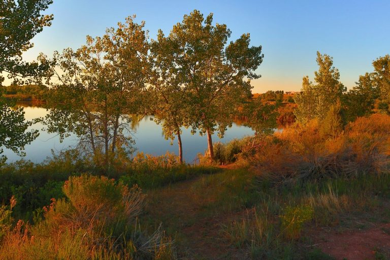 Jayhawker Ponds