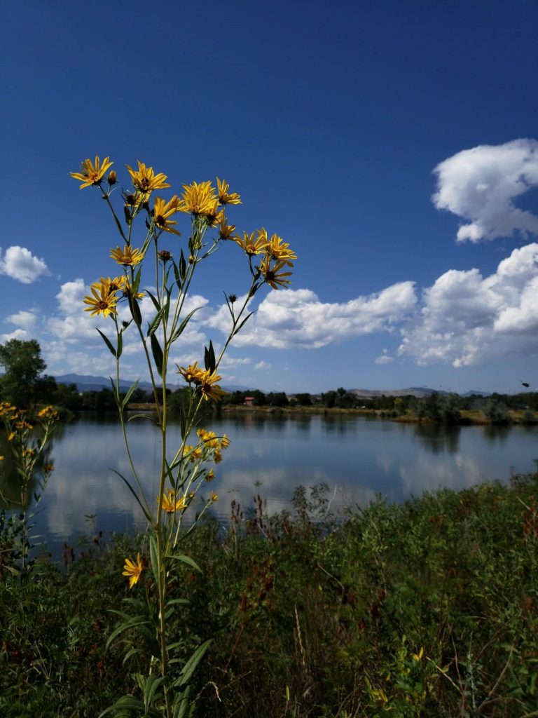 Jayhawker Ponds