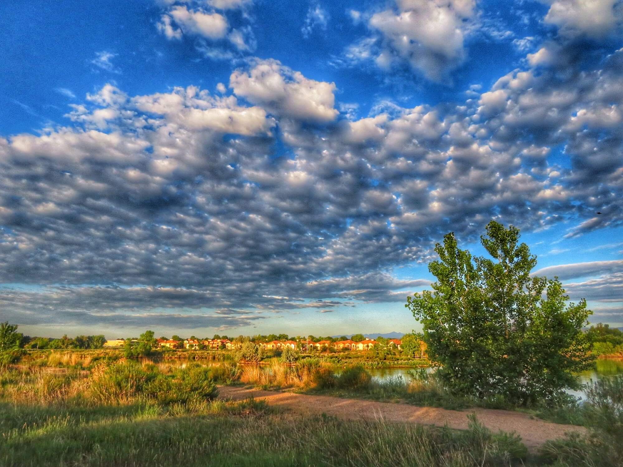 Jayhawker Ponds